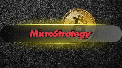 MicroStrategy Concludes 2023 with a Massive $615.7 Million Bitcoin Purchase