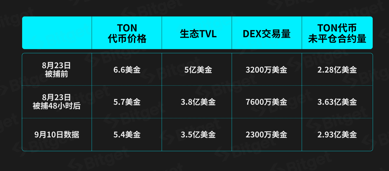 TON生态：加密市场最大的增长引擎 image 5