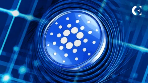 Cardano’s Growing Adoption Could Fuel Next Bull Run, Analyst Says