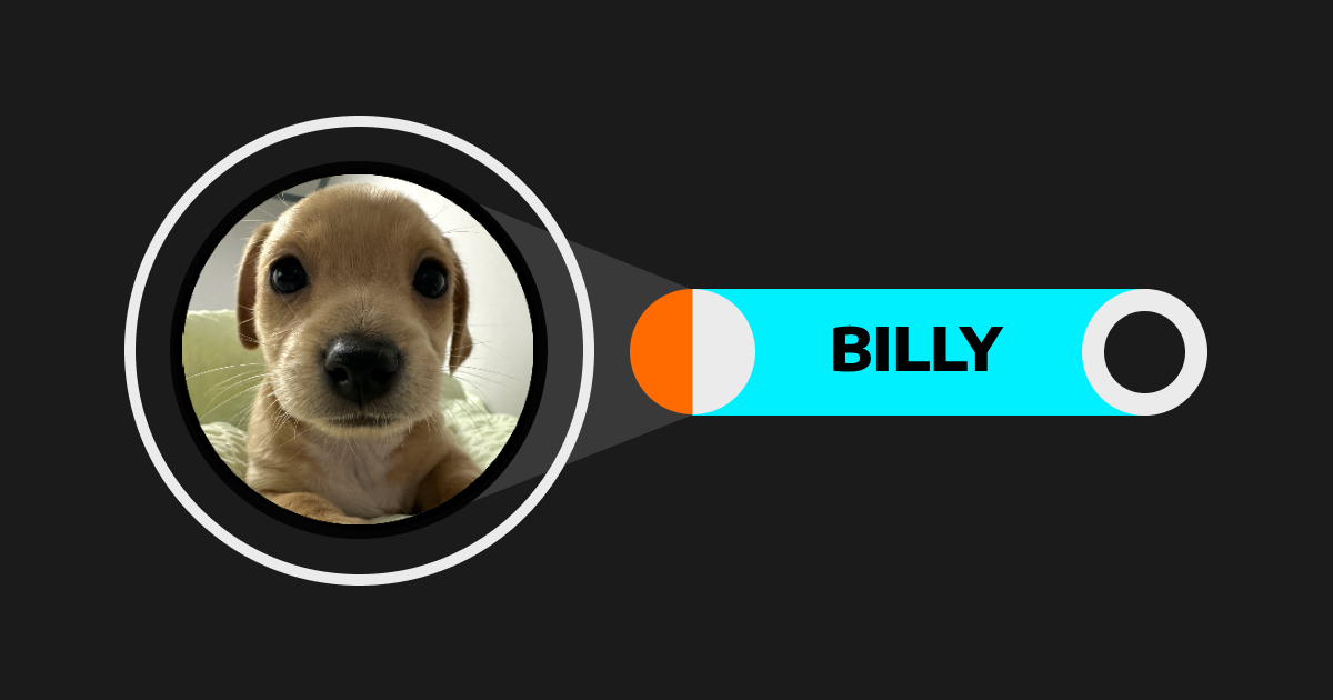 Billy (BILLY): apresentando o cão mais fofo da Solana