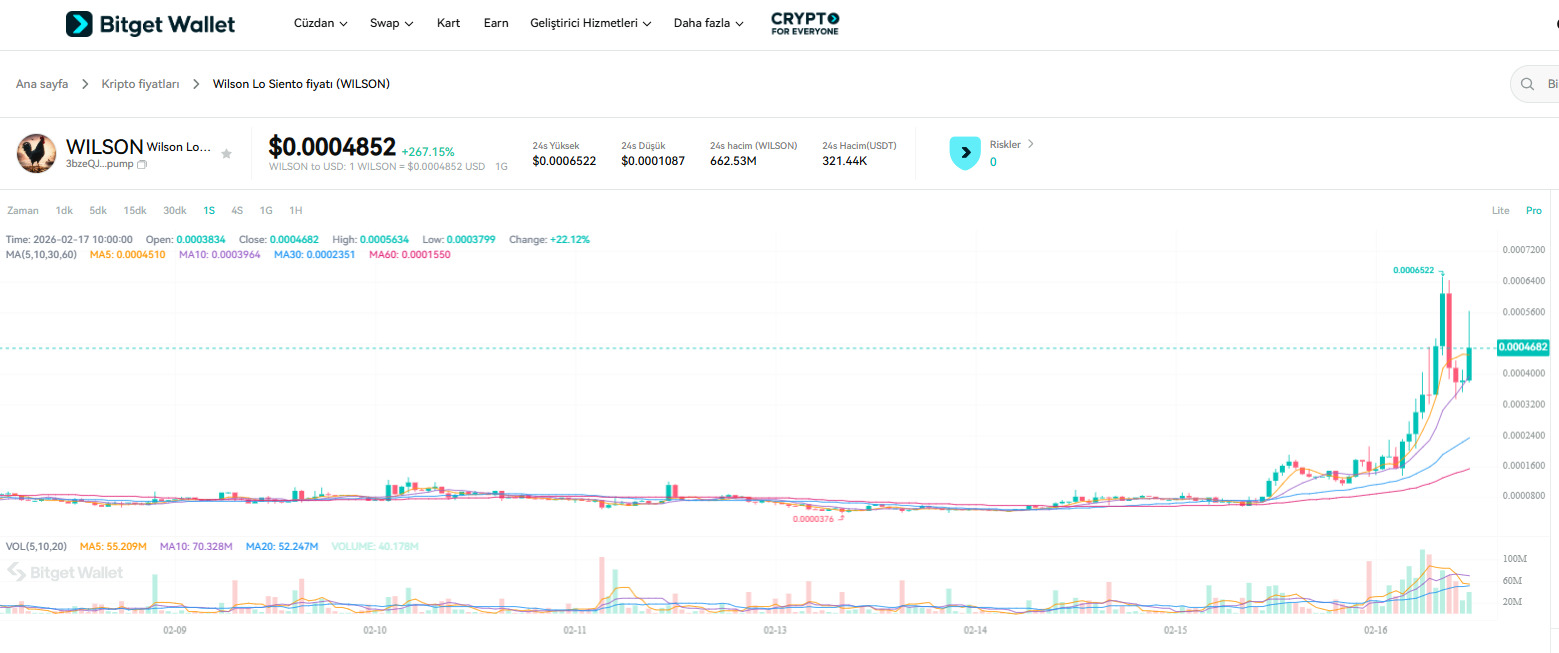 What Is Wilson Lo Siento (WILSON): A Strategic Investor Overview of the Solana Meme Coin image 2