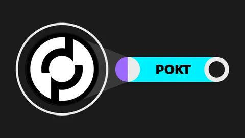 Pocket Network (POKT): Unleashing the Power of DePIN