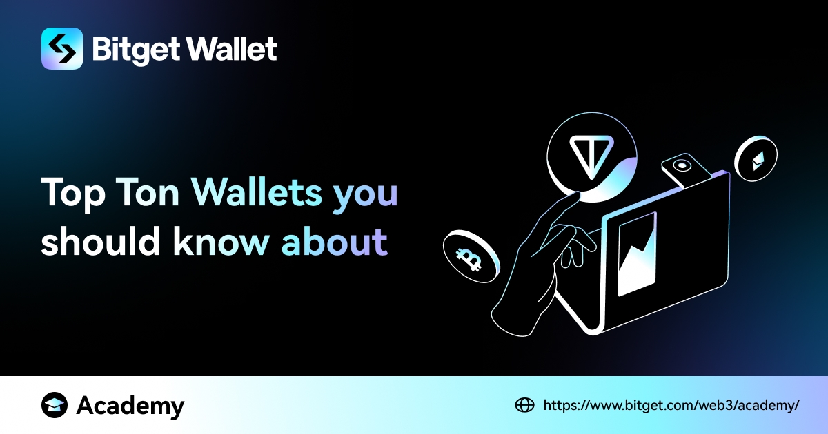 Top 3 Ton Wallets You Should Know About image 0