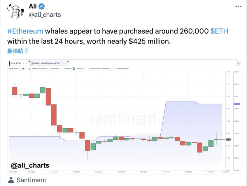 数据：巨鲸群体昨日疑似购入约26万枚ETH image 0