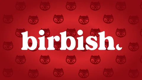 Relatório de Pesquisa | Análise Detalhada do Projeto Moonbirds & Análise de Valor de Mercado da BIRB