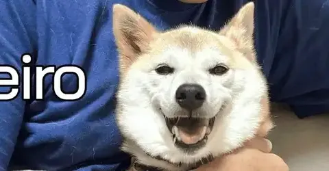 Neiro Ethereum (NEIRO): ¿Podría rivalizar con DOGE y convertirse en el próximo meme de mil millones de dólares?