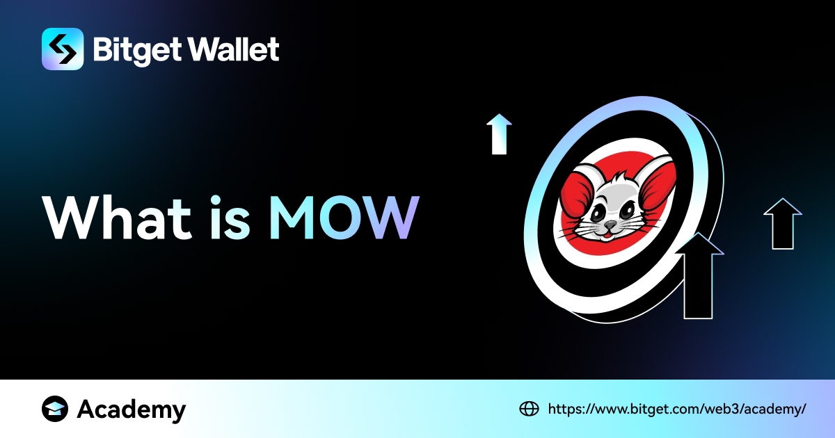 What Is MOW image 0