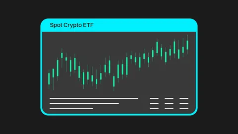 Reasons To Look Forward To Spot Bitcoin ETF Approvals In The US