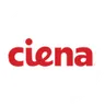 Ciena Corp (Derivatives)