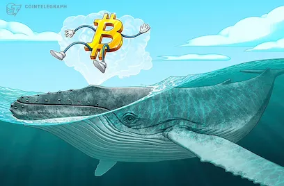 Bitcoin whale 'FOMO' hits as BTC price coils below $67K liquidity zone