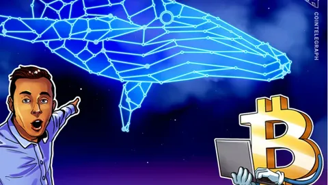Bitcoin whale volume from exchanges hits 9-year high as analysts call BTC price bottom