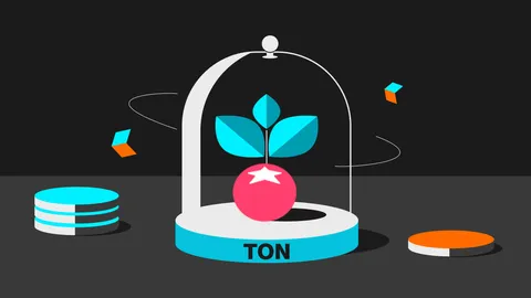 Tomarket Sows Seeds Of Innovation On TON Blockchain