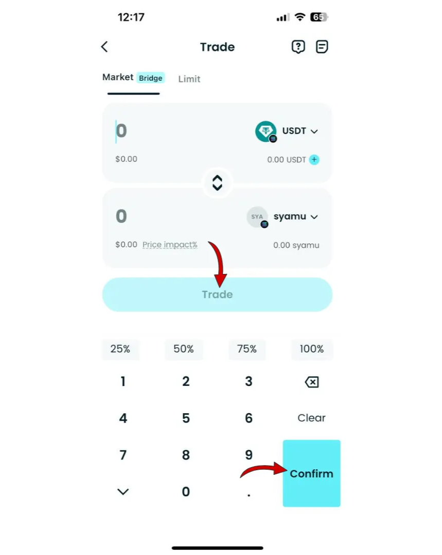 What is SYAMU (SYAMU) and How to Buy Token: Japanese Internet Culture Coin and On Chain Market Behavior image 7