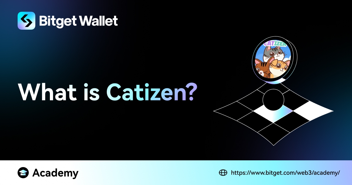 What Is Catizen? image 0