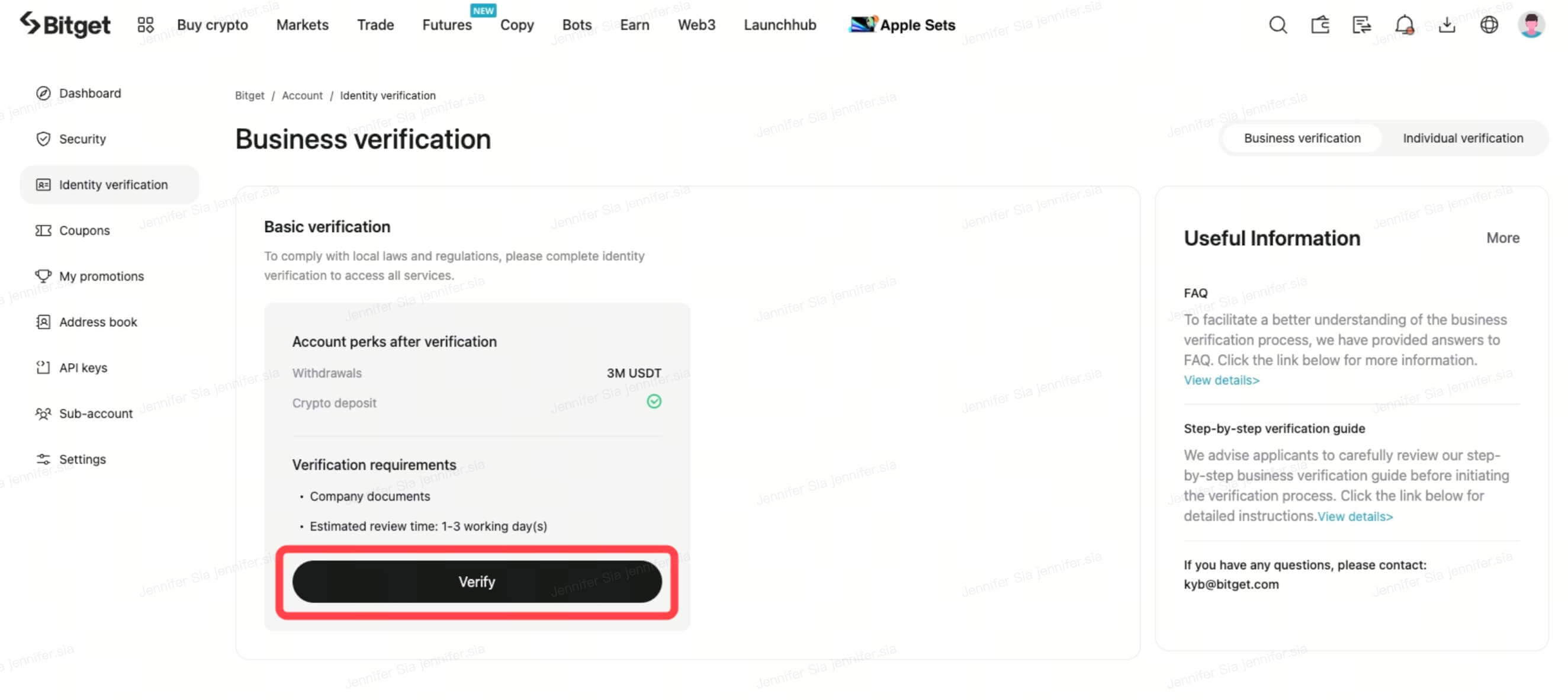 Step-by-Step KYB Verification Guide image 2