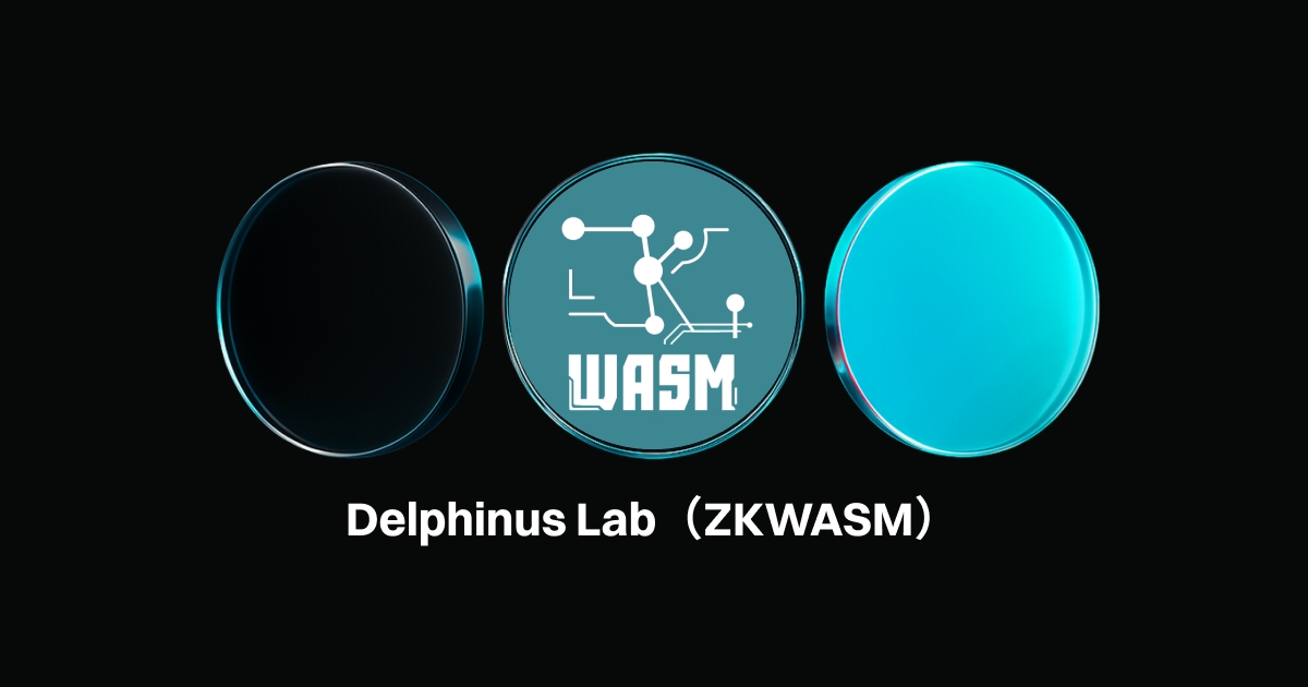 Delphinus Lab (ZKWASM) desarrolló la primera máquina virtual zkWASM
