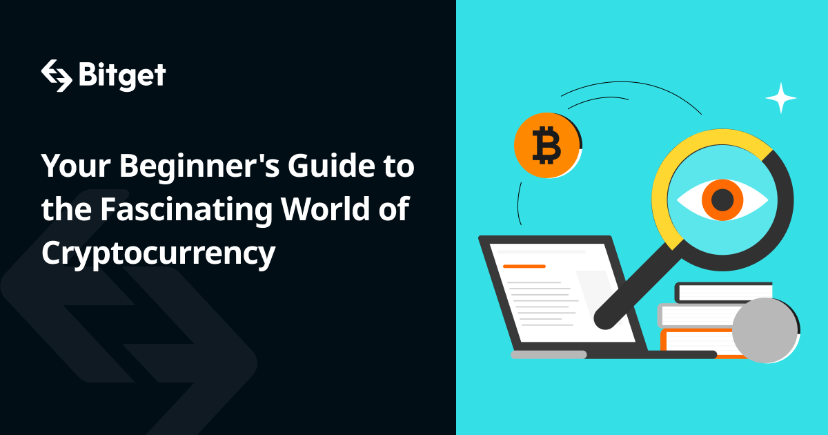 Your Beginners Guide to the Fascinating World of Cryptocurrency