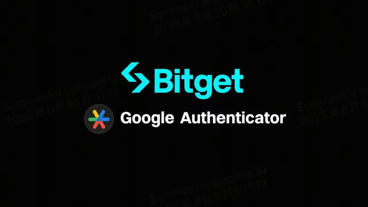 【新手入门3】谷歌验证器教程