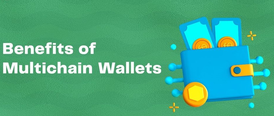 What Is a Multi-Chain Wallet? image 2