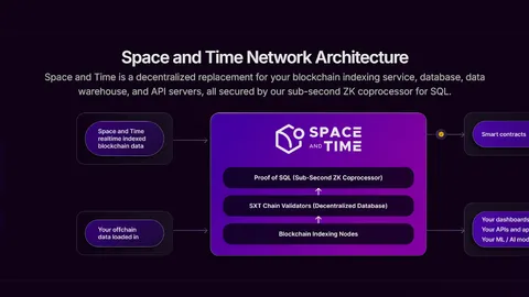 調査報告 | Space and TimeおよびSXT市場評価の詳細分析