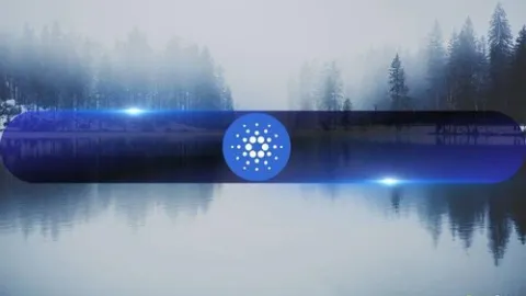 23% of Cardano Investors Have Not Sold in 5 Years as ADA Price Jumps 11% Daily