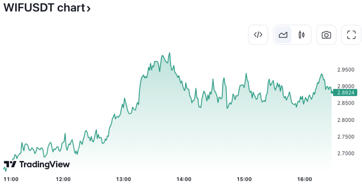 Dogwifhat hits record high following $700K Vegas Sphere fundraise image 1