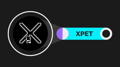 xPet.tech (XPET): GameFi on Web2 Social Media