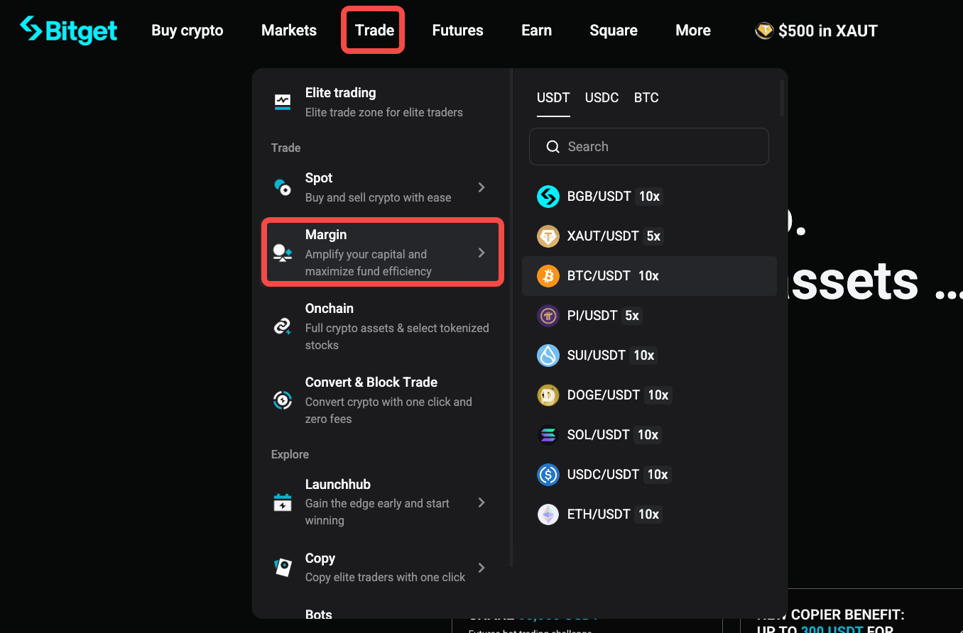 margin-0008 كيفية استخدام وظائف الاقتراض التلقائي والسداد التلقائي؟