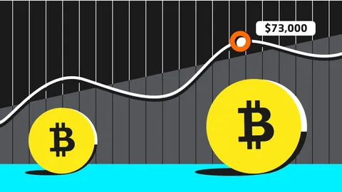 Analyzing Bitcoin's Uptober and Predictions for a Post-Election Surge