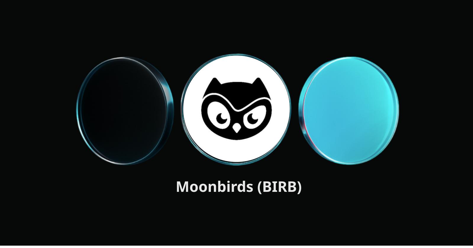 What Is Moonbirds (BIRB)? The Hybrid of Meme Culture and Consumer Commerce
