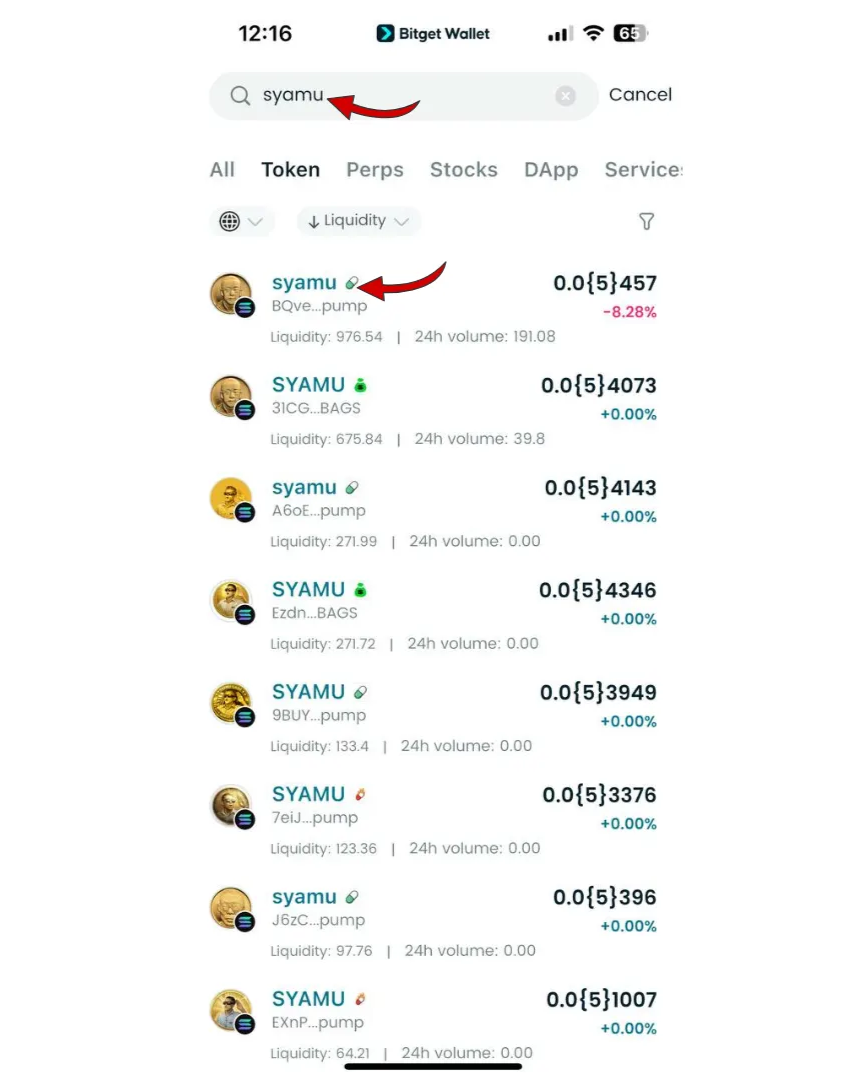 What is SYAMU (SYAMU) and How to Buy Token: Japanese Internet Culture Coin and On Chain Market Behavior image 5