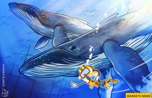 Bitcoin 'dumb money sells' as whales, sharks add 328K BTC in a month