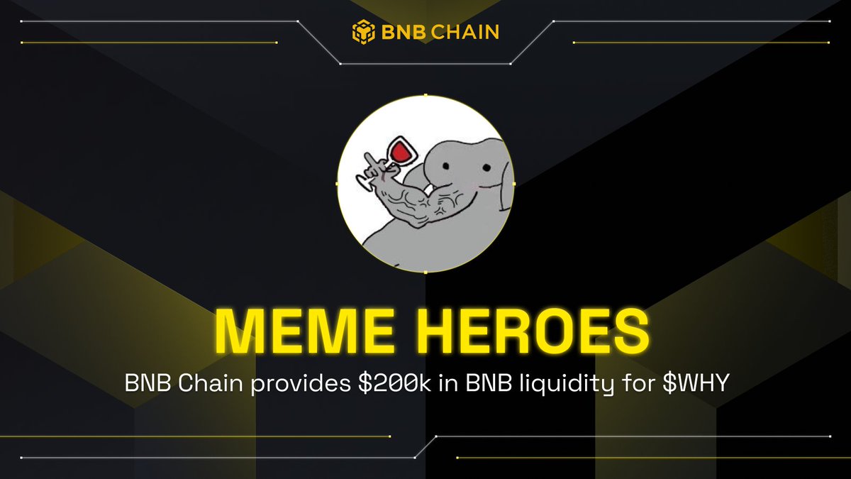 WHY becomes the first Meme Heroes LP recipient on BNB Chain