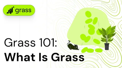 Rumput 101: Apa itu Rumput?