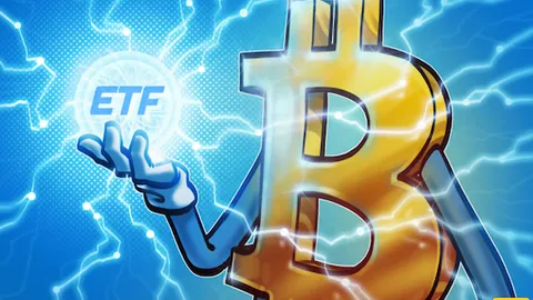 Bitcoin ETFs hype stalled by due diligence: Bloomberg