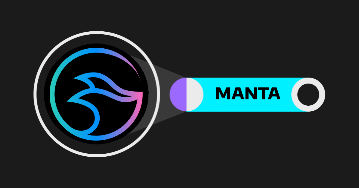 Manta Network (MANTA)：使用双区块链方法构建 Web3