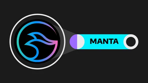 Manta Network (MANTA): Building Web3 with A Dual Blockchain Approach