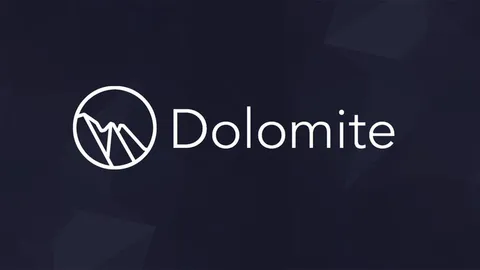 Rapport de recherche | Analyse détaillée du projet Dolomite et analyse de la valeur marchande de DOLO