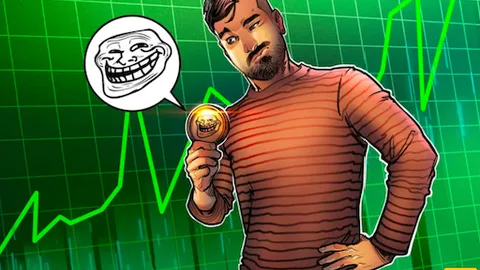 Number of new memecoin traders hits record high — IntoTheBlock