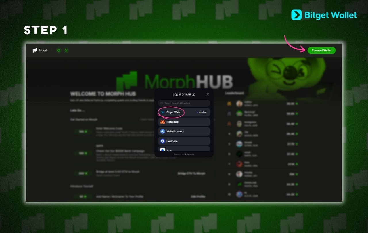 Morph Airdrop Guide: How to Participate and Claim Rewards? image 1