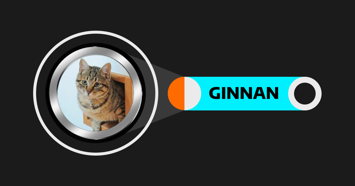 Ginnan the Cat (GINNAN): شبيهة عملة Doge بين عملات القطط