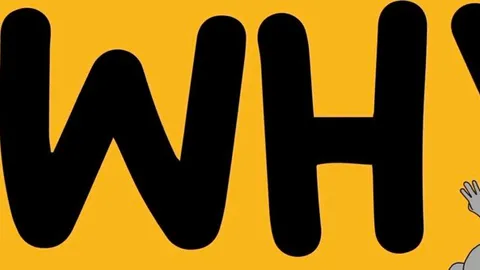 BNBChain 200.000 dólares para ayudar a WHY, ¿el próximo en superar el billón de dólares en Meme?