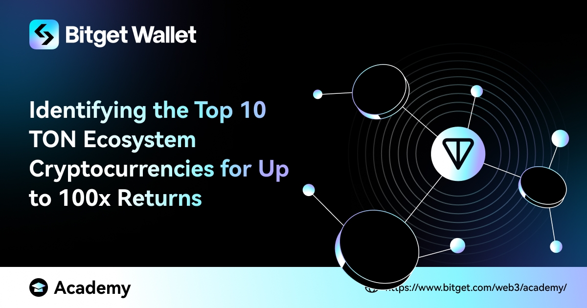 Identifying The Top 10 TON Ecosystem Cryptocurrencies For Up To 100x Returns image 0