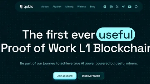 Исследование рынка и анализ публичной цепочки Layer1 QUBIC
