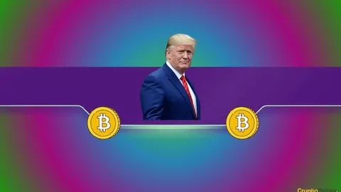 Can Bitcoin (BTC) Reach $100,000 if Donald Trump Becomes US President Again