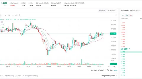 Sun and Moon Xiao Chu: Tại sao tôi tiếp tục thêm vị thế trong đợt điều chỉnh của $PNUT và $ACT?