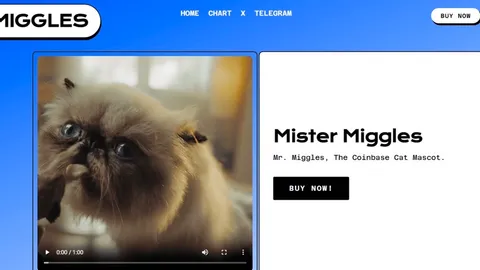 MIGGLES: ¿La próxima estrella meme en la cadena Base?