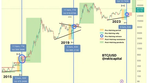 Rekt Capital: 5 Phases of The Bitcoin Halving