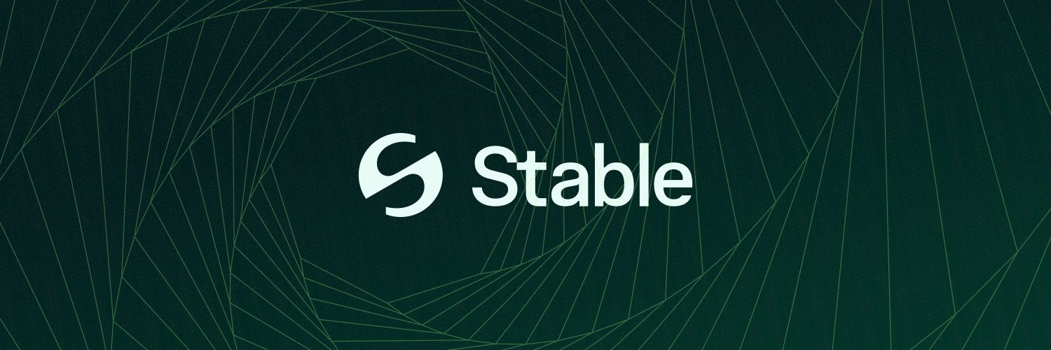 研报：Stable 项目详解&STABLE市值分析 