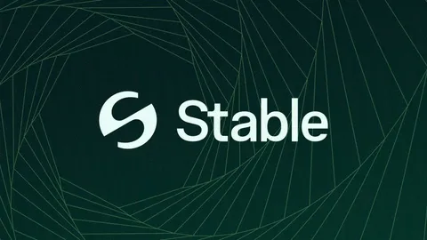 Relatório de Pesquisa: Detalhes do Projeto Stable & Análise de Valor de Mercado da STABLE